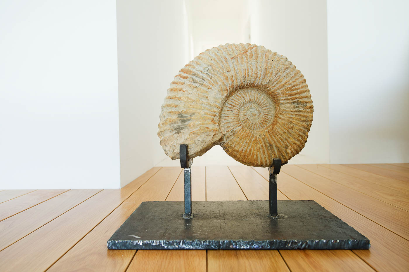 Unique sculptures decorates inside and outside 